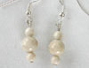 Natural fossil earrings